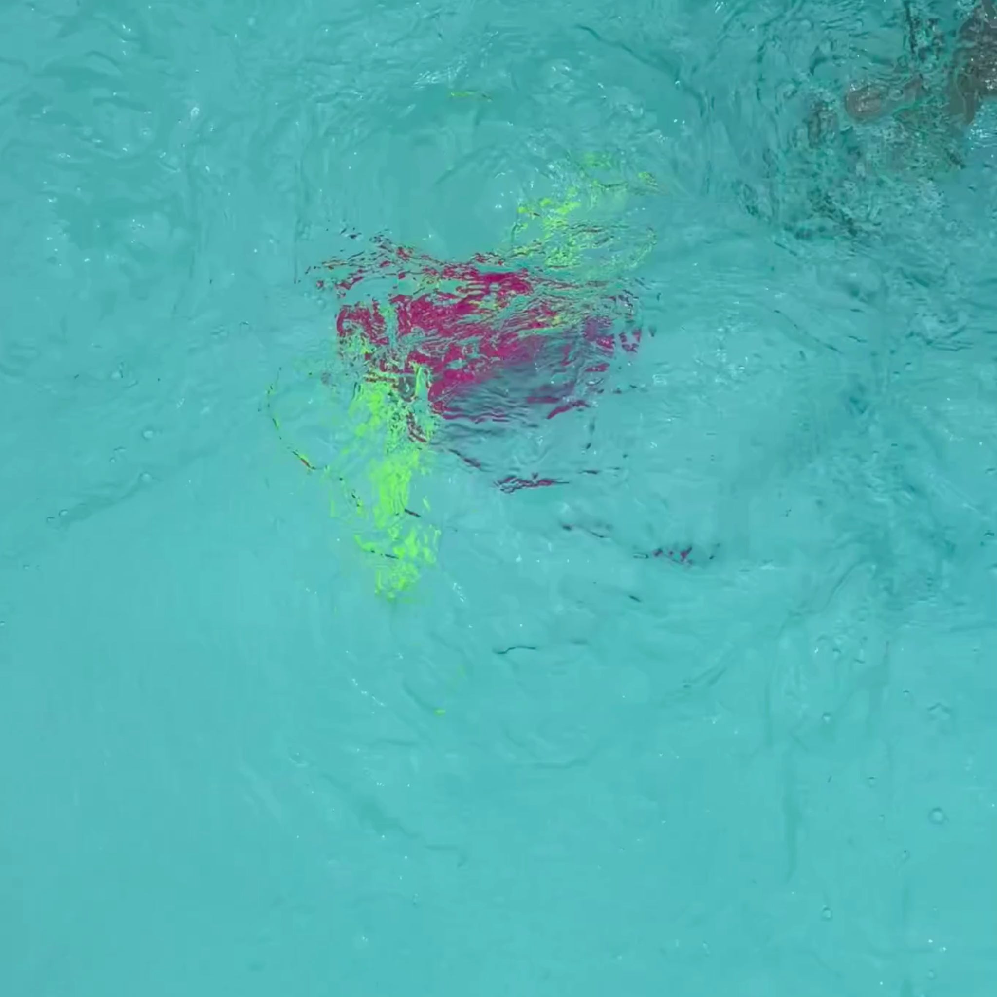 Load video: pink rash under water